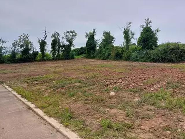 Terrain vente à Sélestat-Erstein, Châtenois