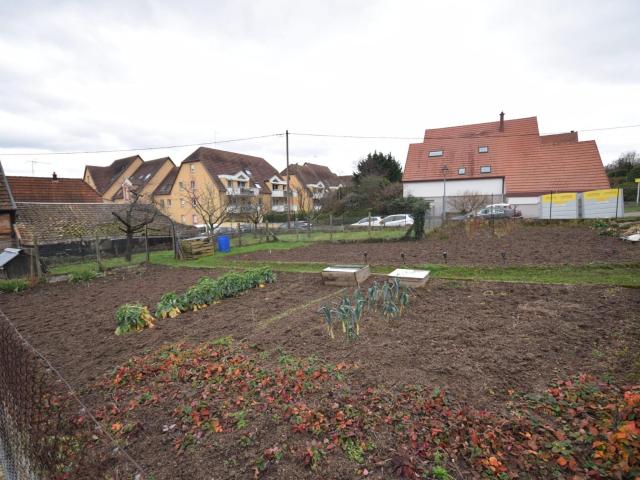Terrain vente à Sélestat-Erstein, Châtenois