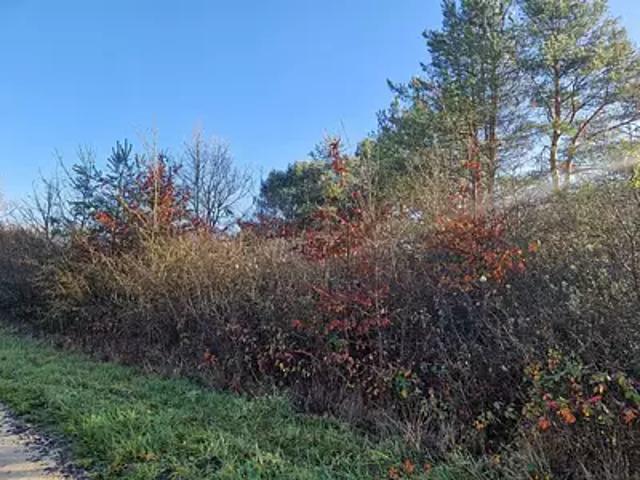 Terrain vente à Romorantin-Lanthenay, Châtillon-sur-cher