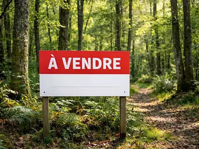 Terrain vente à Le Bourg-Nord, Châtillon-sur-Cher
