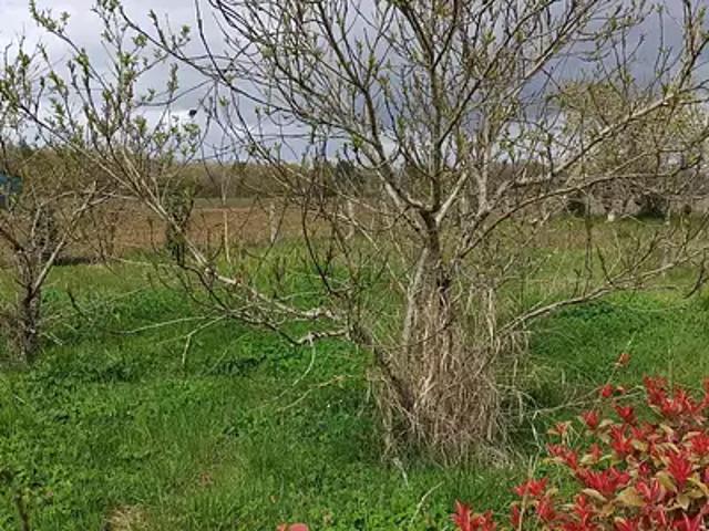 Terrain vente à Romorantin-Lanthenay, Châtillon-sur-cher