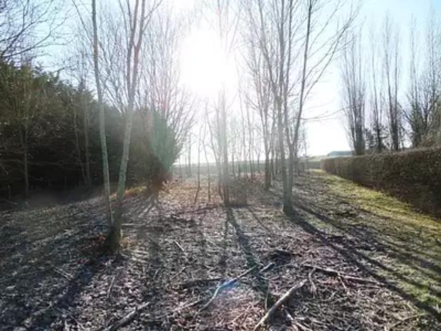 Terrain vente à Châtillon-sur-Morin, Marne