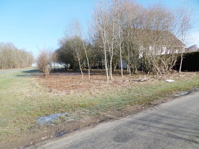 Terrain vente à Épernay, Châtillon-sur-morin