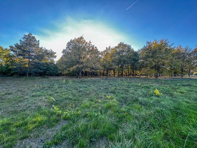 Terrain vente à Romorantin-Lanthenay, Châtres-sur-cher