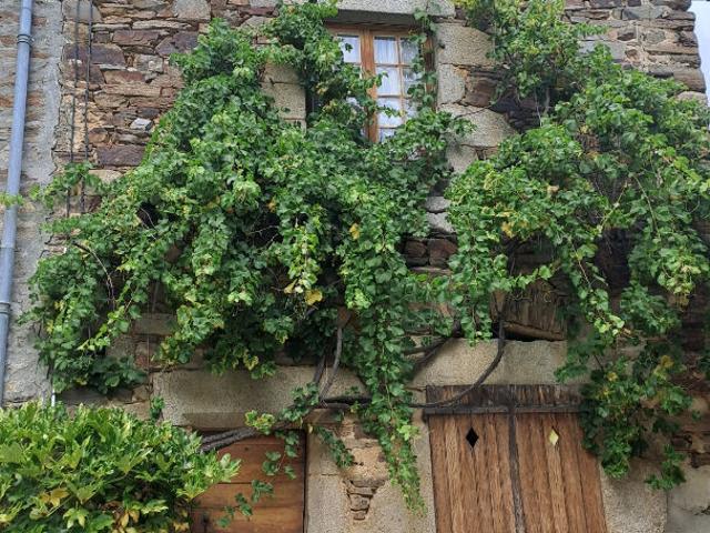 Maison vente à France métropolitaine, Chaudes-aigues