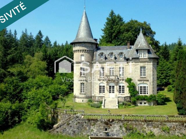 Château vente à Ussel, Chaumeil