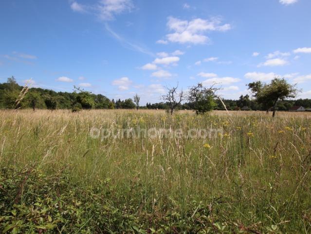 Terrain vente à Romorantin-Lanthenay, Chaumont-sur-tharonne
