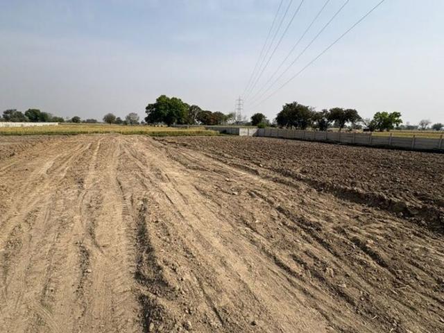 Land for sale in Mathara, Arunachal Pradesh