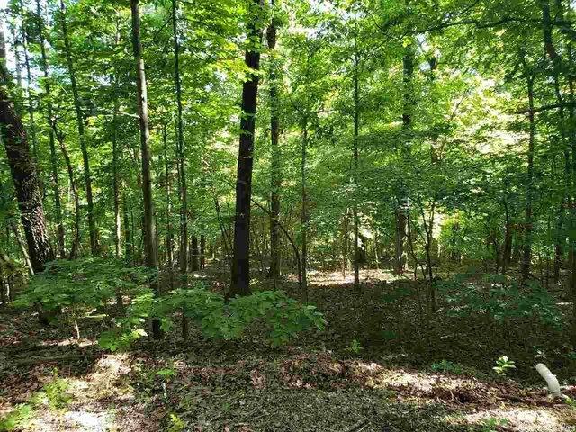 Land for sale in Ark