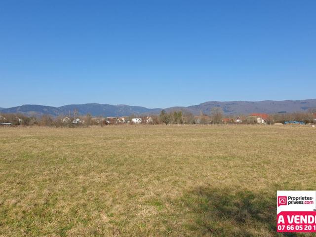 Terrain vente à Belfort, Chaux