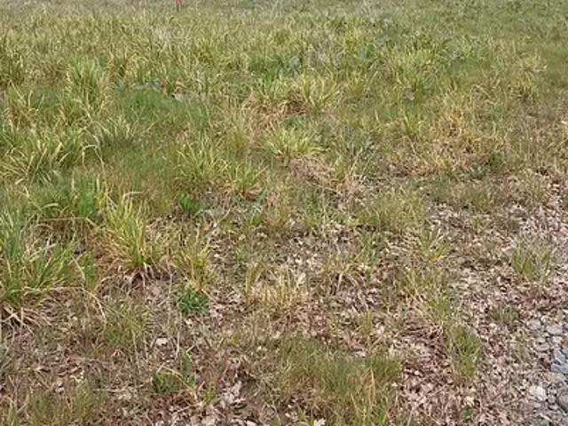 Terrain vente à La Roche-sur-Yon, Chavagnes-en-paillers