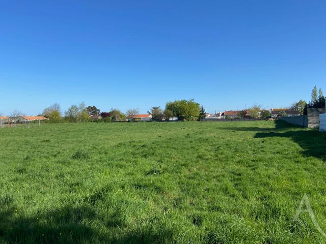 Terrain vente à La Roche-sur-Yon, Chavagnes-en-paillers