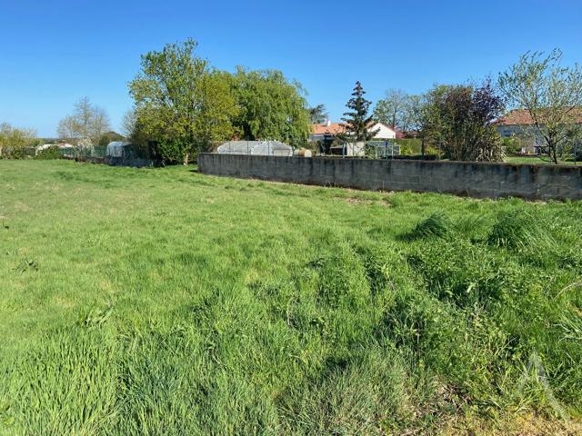 Terrain vente à France métropolitaine, Chavagnes-en-paillers