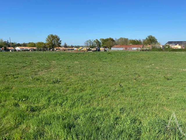 Terrain vente à France métropolitaine, Chavagnes-en-paillers