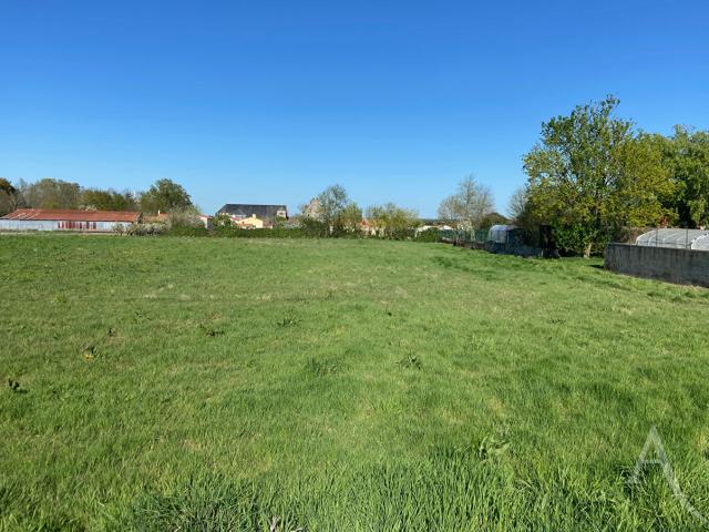 Terrain vente à France métropolitaine, Chavagnes-en-paillers