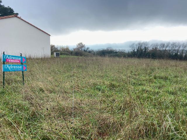 Terrain vente à La Roche-sur-Yon, Chavagnes-en-paillers