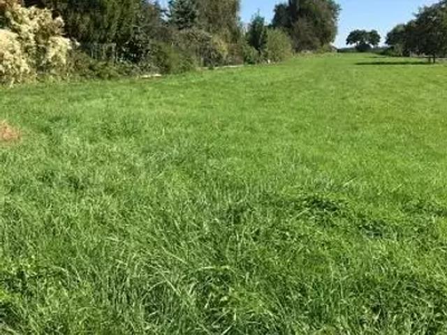 Terrain vente à Altkirch, Chavannes-sur-l'etang