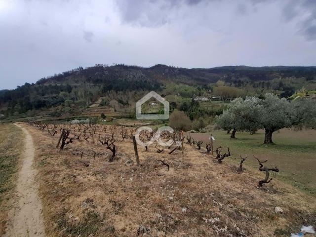 Terreno venda em Chaves, Vila Real