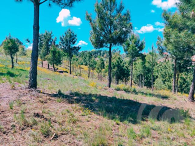 Terreno venda em Chaves, Vila Real