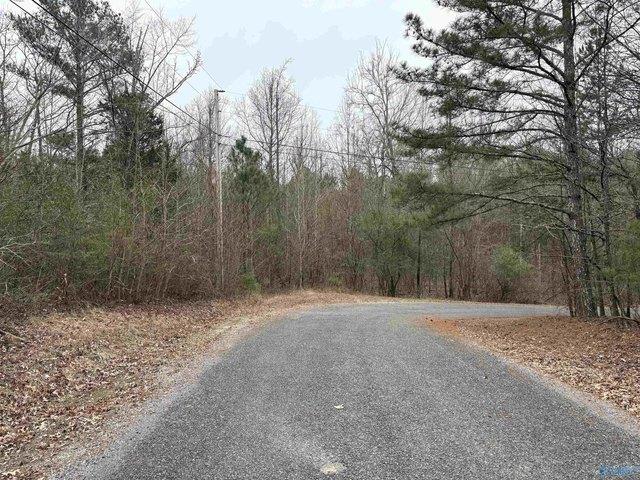 Land for sale in Scottsboro, Alabama