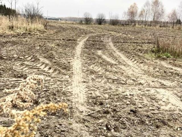 Grunt na sprzedaż w Chełm Śląski, Śląskie