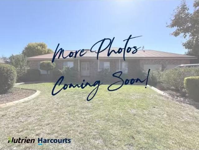 House for rent in Griffith, New South Wales