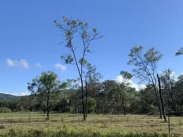 House for rent in Koah, Queensland