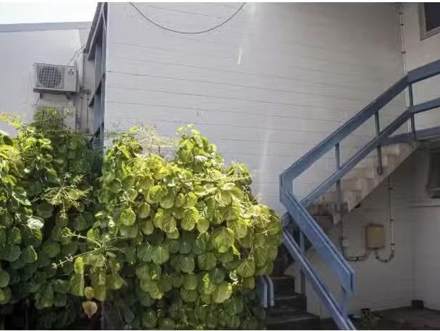 Apartment for rent in Darwin, Northern Territory