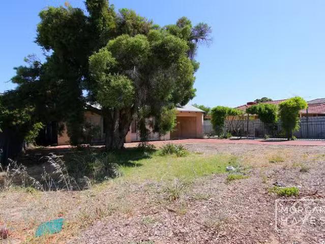 House for rent in Shelley, Western Australia