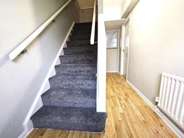 House to rent