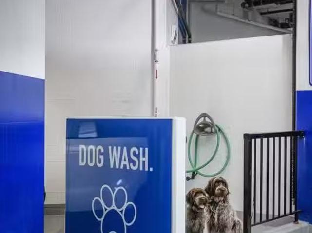 Condo for rent in New Westminster, British Columbia