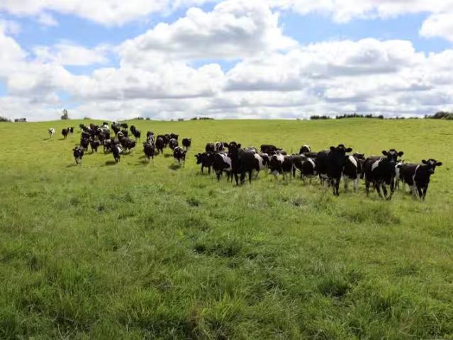 House for rent in Ruapehu District