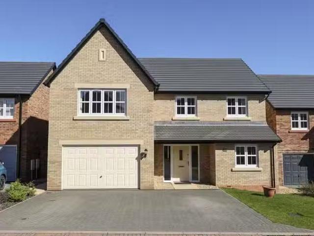 House for rent