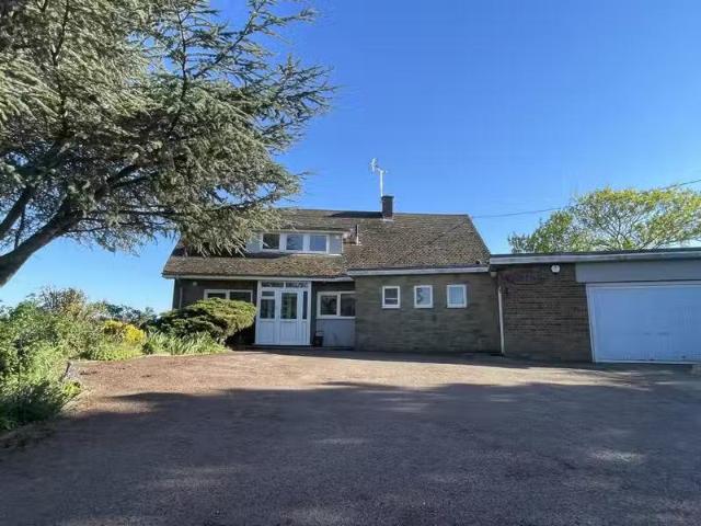House for rent