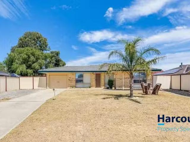 House for rent in Seville Grove, Western Australia