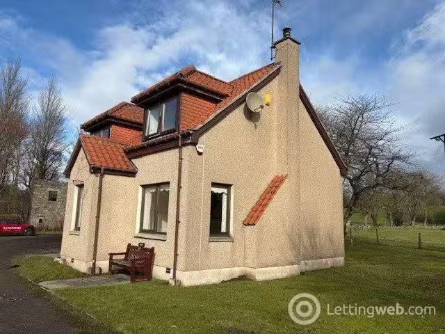 House for rent