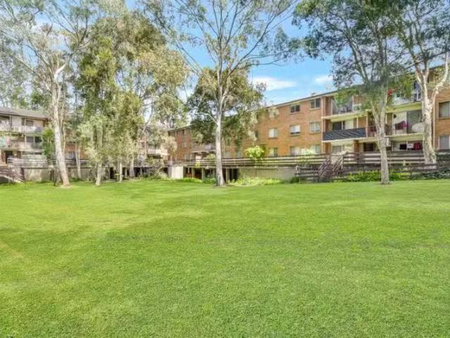 House for rent in Villawood, New South Wales