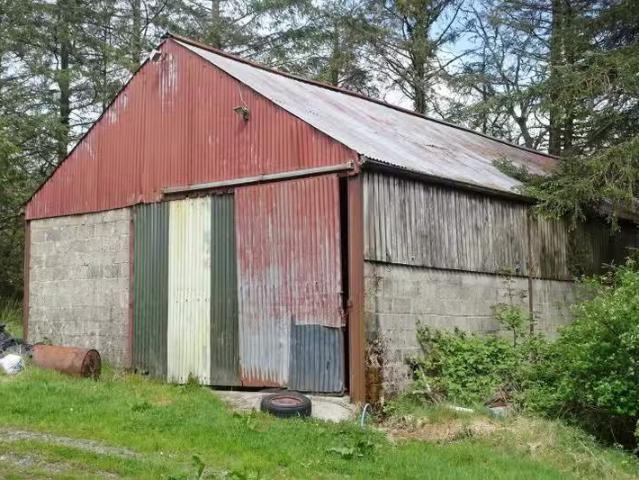 House to rent