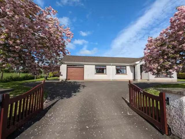 House to rent