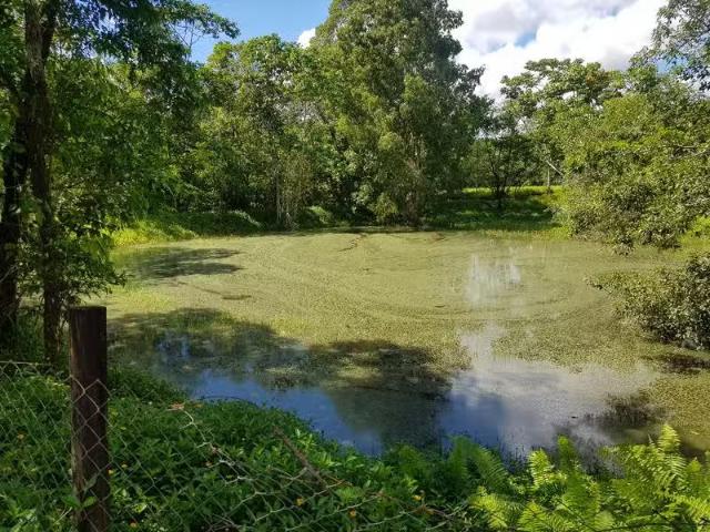 House for rent in Mossman, Queensland