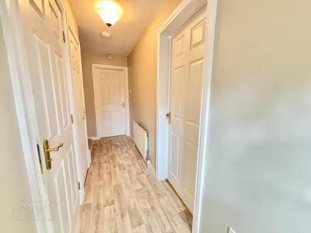 House to rent