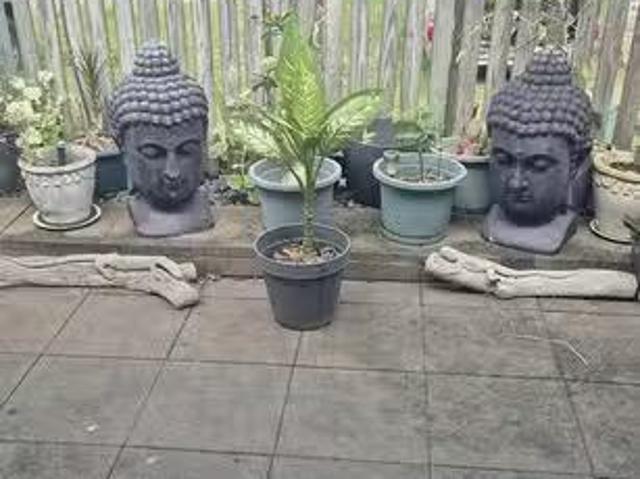 House for rent in Ayr, Queensland