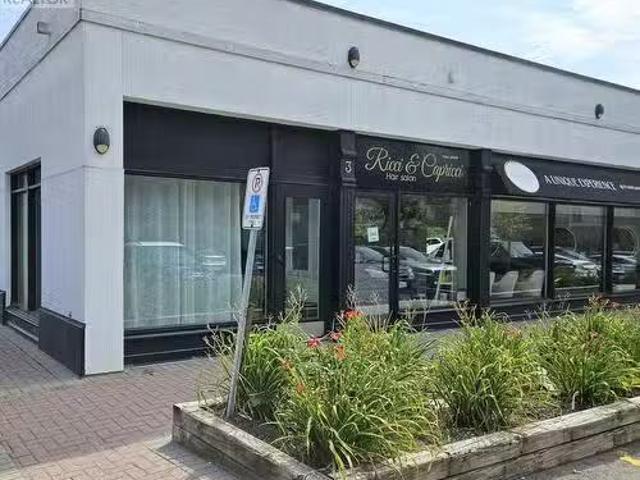House for rent in York, Ontario