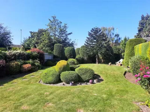 House for rent