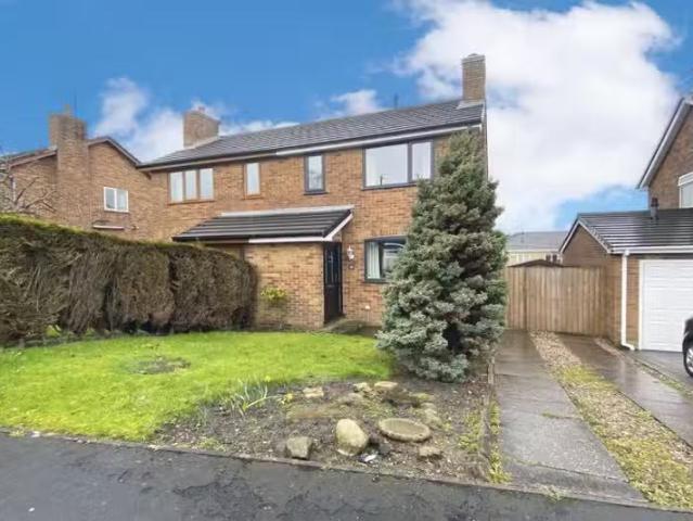 House for rent