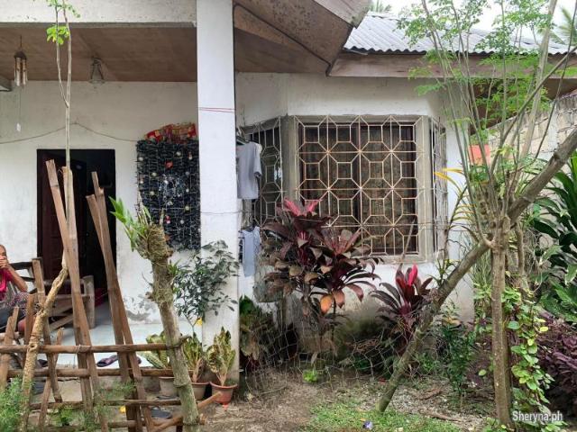 CHEAP HOUSE AND LOT FOR SALE ID 14782