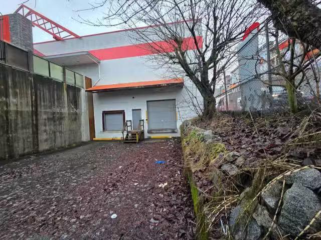 House for rent