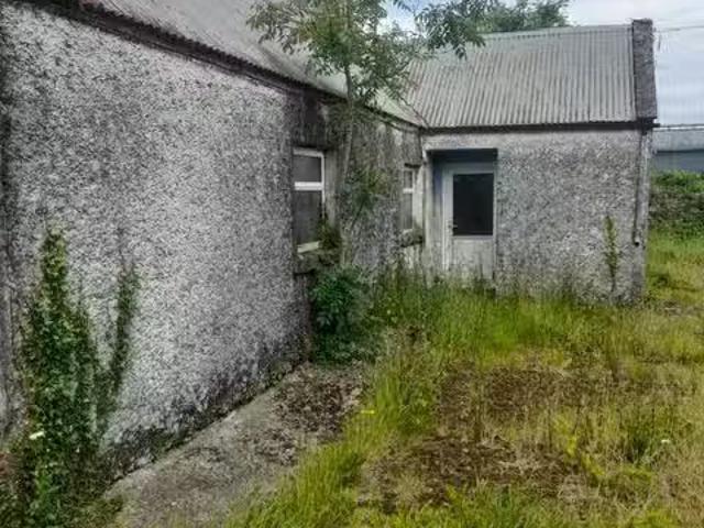 House to rent