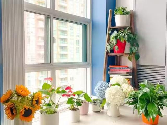 Condo for rent in Willowdale, Toronto