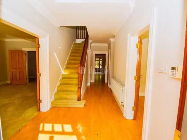 House to rent